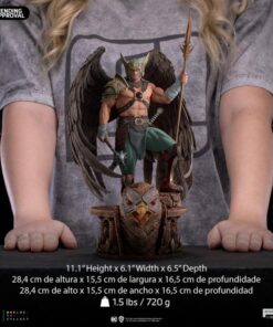 Alternative view of Statue Hawkman 10th Anniversary - Art Scale 1/10 - Iron Studios