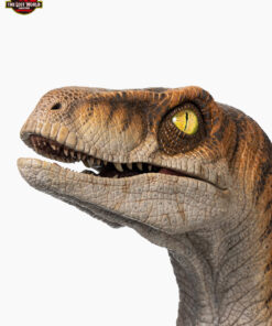 ELITE CREATURE COLLECTIBLE PRESENTS: The Lost World: Jurassic Park Male Velociraptor Life-Size Bust - Image 15
