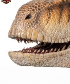ELITE CREATURE COLLECTIBLE PRESENTS: The Lost World: Jurassic Park Male Velociraptor Life-Size Bust - Image 16