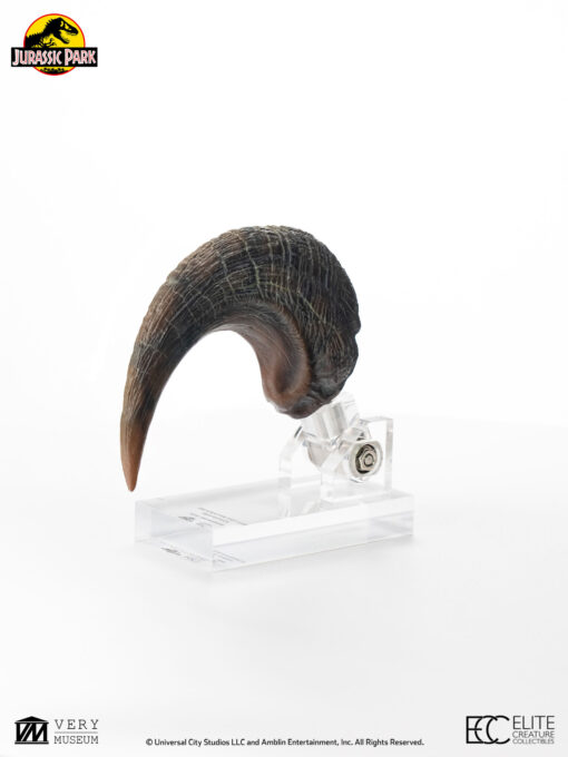 ELITE CREATURE COLLECTIBLES PRESENTS: Jurassic Park Velociraptor Foot Claw Prop Reproduction - Image 4