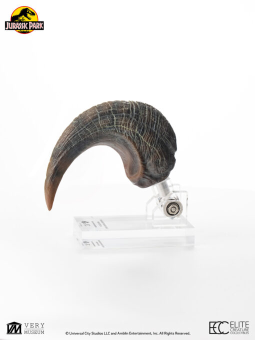 ELITE CREATURE COLLECTIBLES PRESENTS: Jurassic Park Velociraptor Foot Claw Prop Reproduction - Image 5