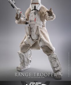 Range Trooper™ Sixth Scale Figure by Hot Toys - Image 14