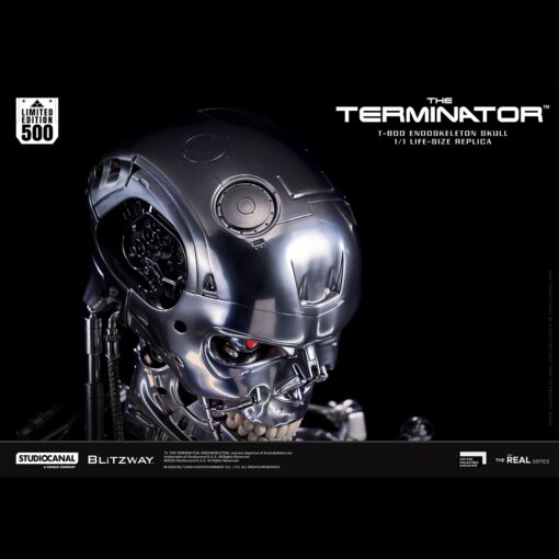 T800 Endoskeleton Skull 1/1 Life Size - Blitzway - Image 12