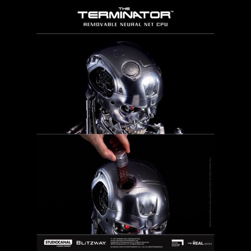T800 Endoskeleton Skull 1/1 Life Size - Blitzway - Image 13