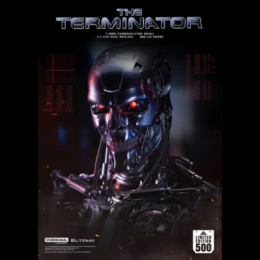 T800 Endoskeleton Skull 1/1 Life Size - Blitzway - Image 3