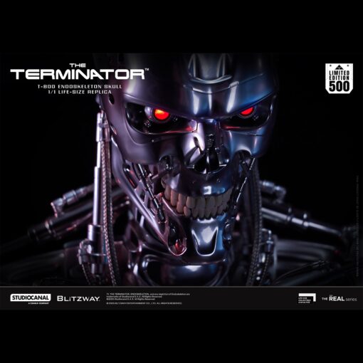 T800 Endoskeleton Skull 1/1 Life Size - Blitzway - Image 4