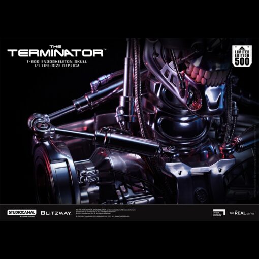 T800 Endoskeleton Skull 1/1 Life Size - Blitzway - Image 5