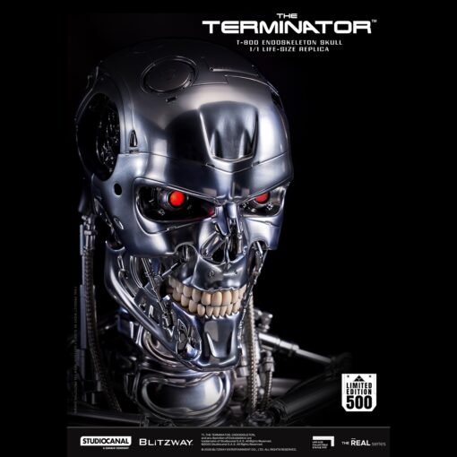 T800 Endoskeleton Skull 1/1 Life Size - Blitzway - Image 6