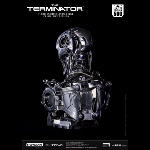 T800 Endoskeleton Skull 1/1 Life Size - Blitzway - Image 9