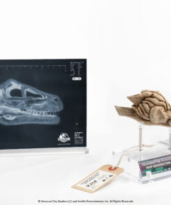 ELITE CREATURE COLLECTIBLES PRESENTS: Jurassic Park III Velociraptor Resonance Chamber - Image 6