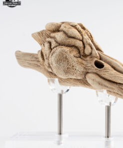 ELITE CREATURE COLLECTIBLES PRESENTS:  Jurassic Park III Velociraptor  Resonance Chamber - Image 7