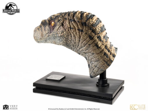 ELITE CREATURE COLLECTIBLES PRESENTS: Jurassic Park III: Female Velociraptor "White Queen" Bust - Image 6