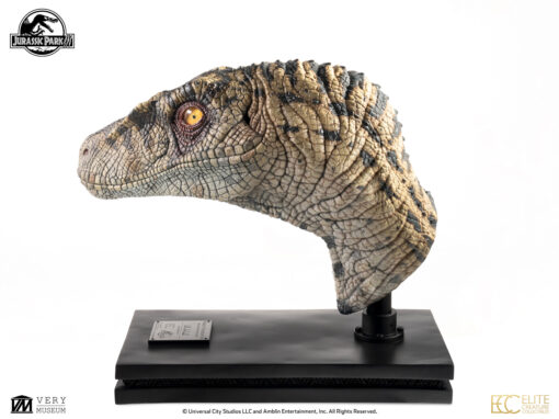 ELITE CREATURE COLLECTIBLES PRESENTS: Jurassic Park III: Female Velociraptor "White Queen" Bust - Image 7