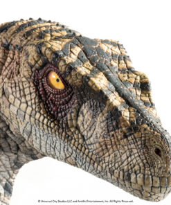 Alternative view of ELITE CREATURE COLLECTIBLES PRESENTS:  Jurassic Park III: Female Velociraptor  "White Queen" Bust