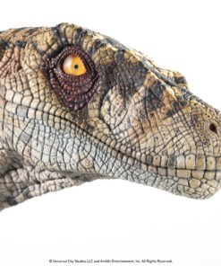 ELITE CREATURE COLLECTIBLES PRESENTS: Jurassic Park III: Female Velociraptor "White Queen" Bust - Image 3