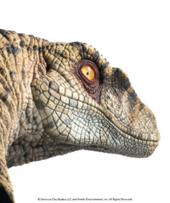 ELITE CREATURE COLLECTIBLES PRESENTS: Jurassic Park III: Female Velociraptor "White Queen" Bust - Image 4