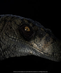 ELITE CREATURE COLLECTIBLES PRESENTS: Jurassic Park III: Female Velociraptor "White Queen" Bust - Image 14