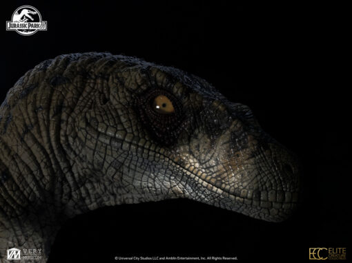 ELITE CREATURE COLLECTIBLES PRESENTS: Jurassic Park III: Female Velociraptor "White Queen" Bust - Image 14