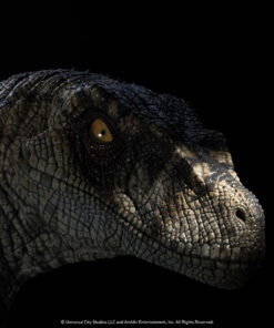 ELITE CREATURE COLLECTIBLES PRESENTS: Jurassic Park III: Female Velociraptor "White Queen" Bust - Image 15