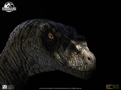 ELITE CREATURE COLLECTIBLES PRESENTS: Jurassic Park III: Female Velociraptor "White Queen" Bust - Image 15