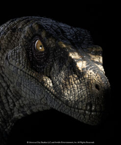 ELITE CREATURE COLLECTIBLES PRESENTS: Jurassic Park III: Female Velociraptor "White Queen" Bust - Image 16