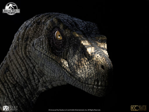ELITE CREATURE COLLECTIBLES PRESENTS: Jurassic Park III: Female Velociraptor "White Queen" Bust - Image 16