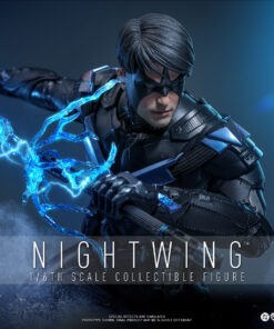 Nightwing Sixth Scale Figure - Hot Toys - Image 8