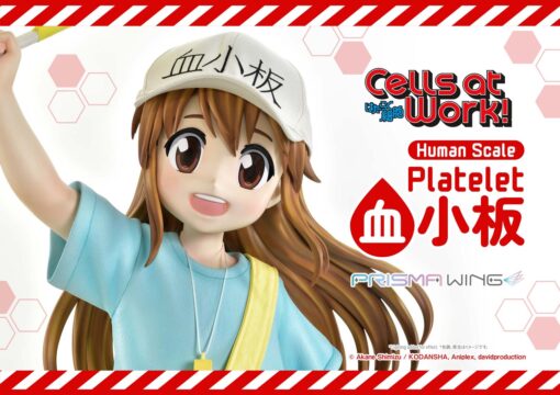 Life Scale Masterline Cells at Work Platelet - Prime1Studio - Image 19