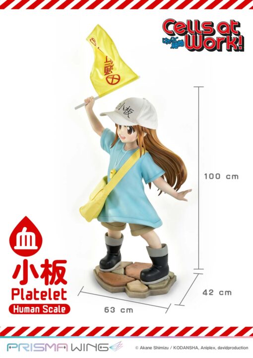 Life Scale Masterline Cells at Work Platelet - Prime1Studio - Image 15