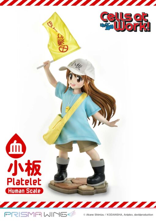 Life Scale Masterline Cells at Work Platelet - Prime1Studio - Image 11