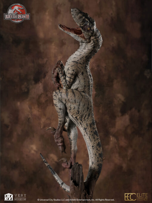 ELITE CREATURE COLLECTIBLES PRESENTS:  Jurassic Park III: Female Velociraptor  "White Queen" Maquette