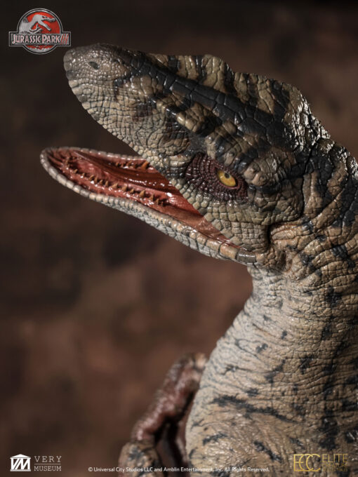 ELITE CREATURE COLLECTIBLES PRESENTS:  Jurassic Park III: Female Velociraptor  "White Queen" Maquette - Image 9