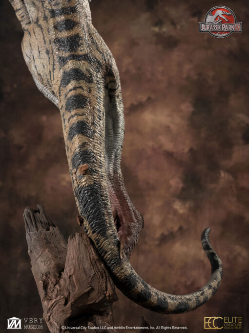 ELITE CREATURE COLLECTIBLES PRESENTS:  Jurassic Park III: Female Velociraptor  "White Queen" Maquette - Image 10