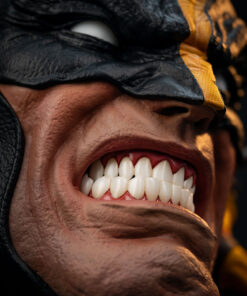 WOLVERINE - FINE ART BUST DELUXE EDITION - PCS - Image 21