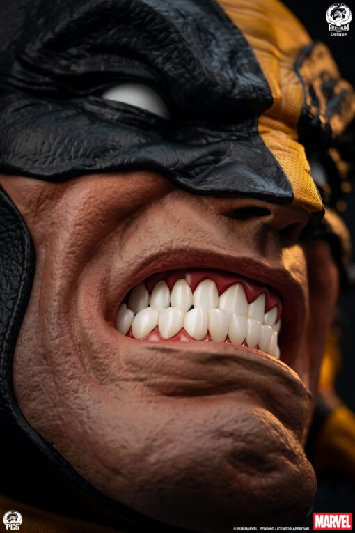 WOLVERINE - FINE ART BUST DELUXE EDITION - PCS - Image 21