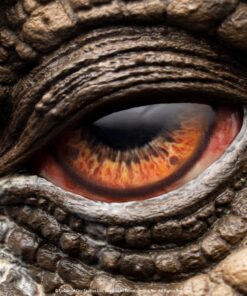 ELITE CREATURE COLLECTIBLES PRESENTS: Jurassic Park Triceratops Eye Prop Reproduction - Image 9