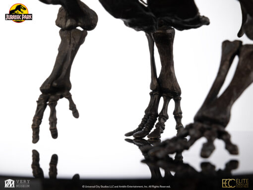 ELITE CREATURE COLLECTIBLES PRESENTS: Triceratops Fossil Skeleton – 1:12 Scale Bronze - Image 5