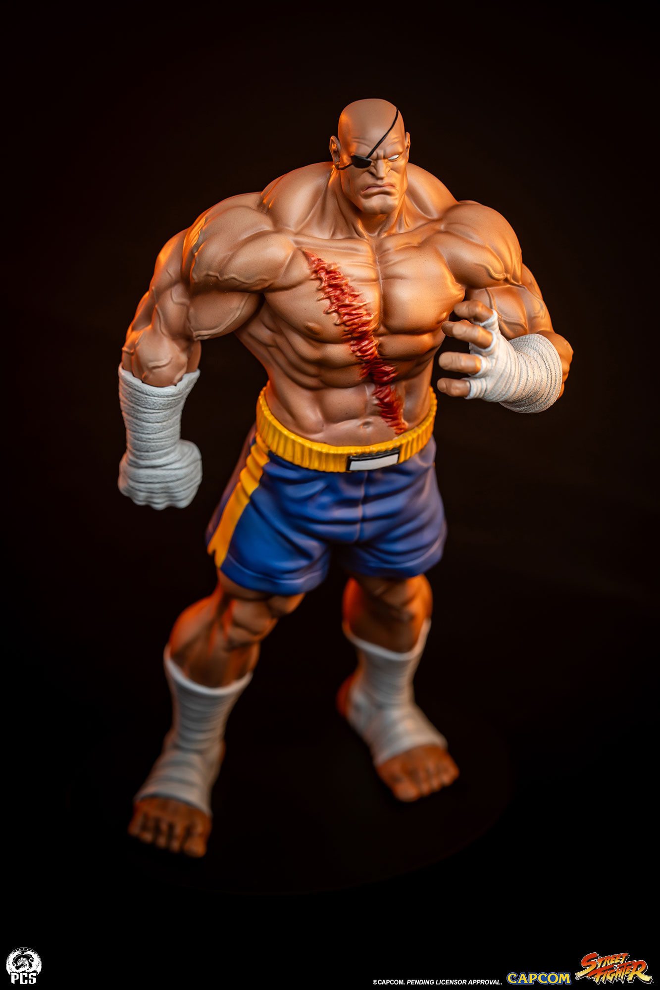 STREET FIGHTER - STREET JAM: SAGAT AND JULI 1:10 SCALE STATUE SET - PCS Collectibles - Image 10