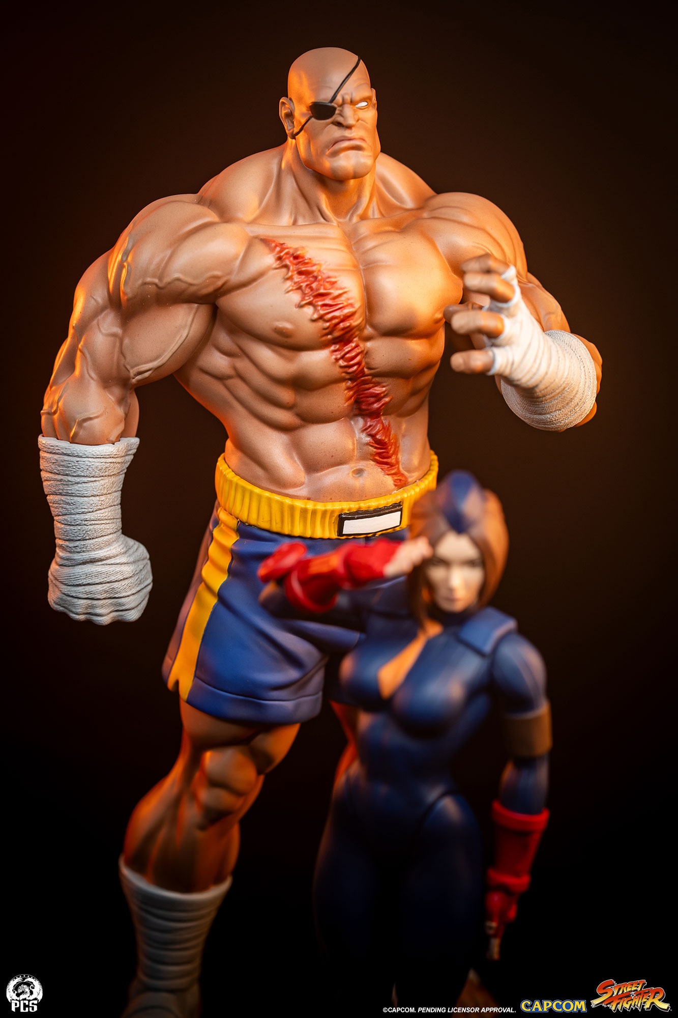 STREET FIGHTER - STREET JAM: SAGAT AND JULI 1:10 SCALE STATUE SET - PCS Collectibles - Image 13
