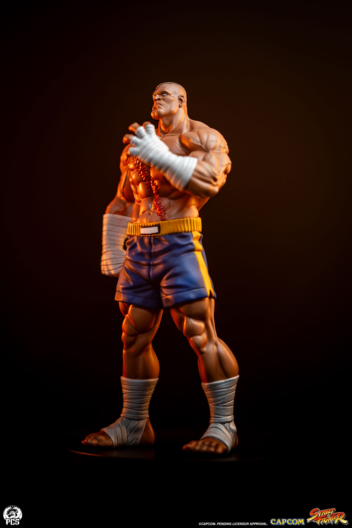 STREET FIGHTER - STREET JAM: SAGAT AND JULI 1:10 SCALE STATUE SET - PCS Collectibles - Image 16