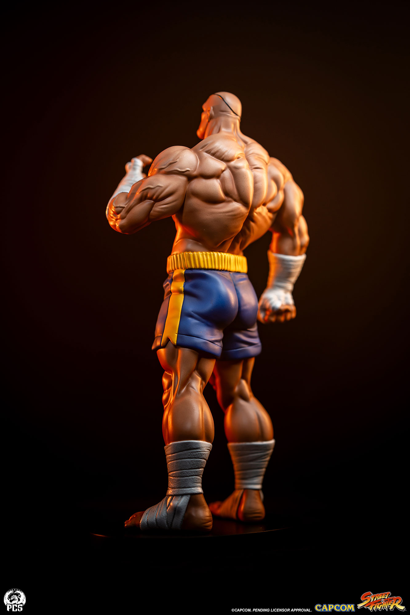 STREET FIGHTER - STREET JAM: SAGAT AND JULI 1:10 SCALE STATUE SET - PCS Collectibles - Image 20