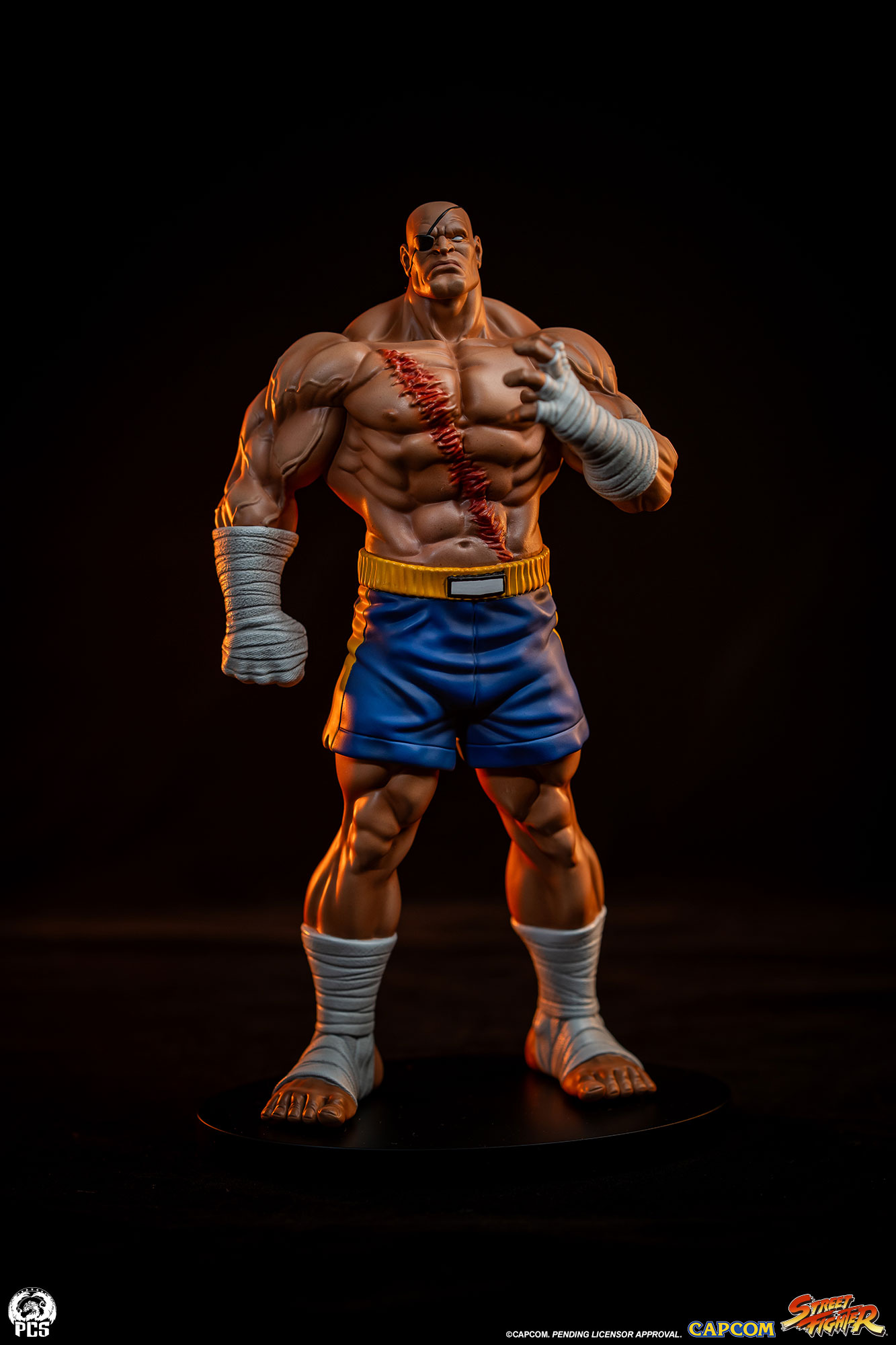 STREET FIGHTER - STREET JAM: SAGAT AND JULI 1:10 SCALE STATUE SET - PCS Collectibles - Image 22