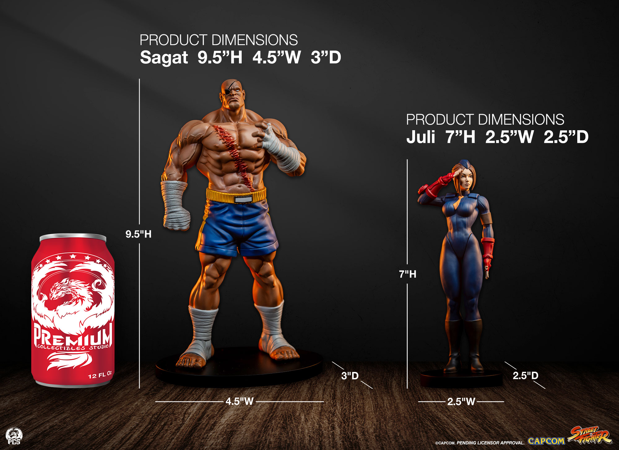 STREET FIGHTER - STREET JAM: SAGAT AND JULI 1:10 SCALE STATUE SET - PCS Collectibles - Image 25