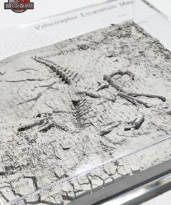 ELITE CREATURE COLLECTIBLES PRESENTS:  Jurassic Park III – Velociraptor Excavation Map - Image 8