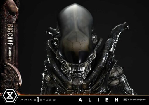 Museum Masterline XL Alien (Film) Big Chap Xenomorph Bonus Version By Prime1Studio - Image 2