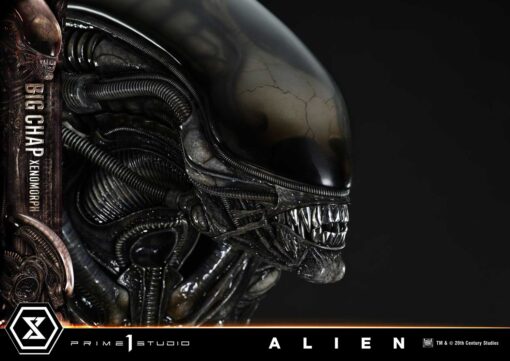 Museum Masterline XL Alien (Film) Big Chap Xenomorph Bonus Version By Prime1Studio - Image 6