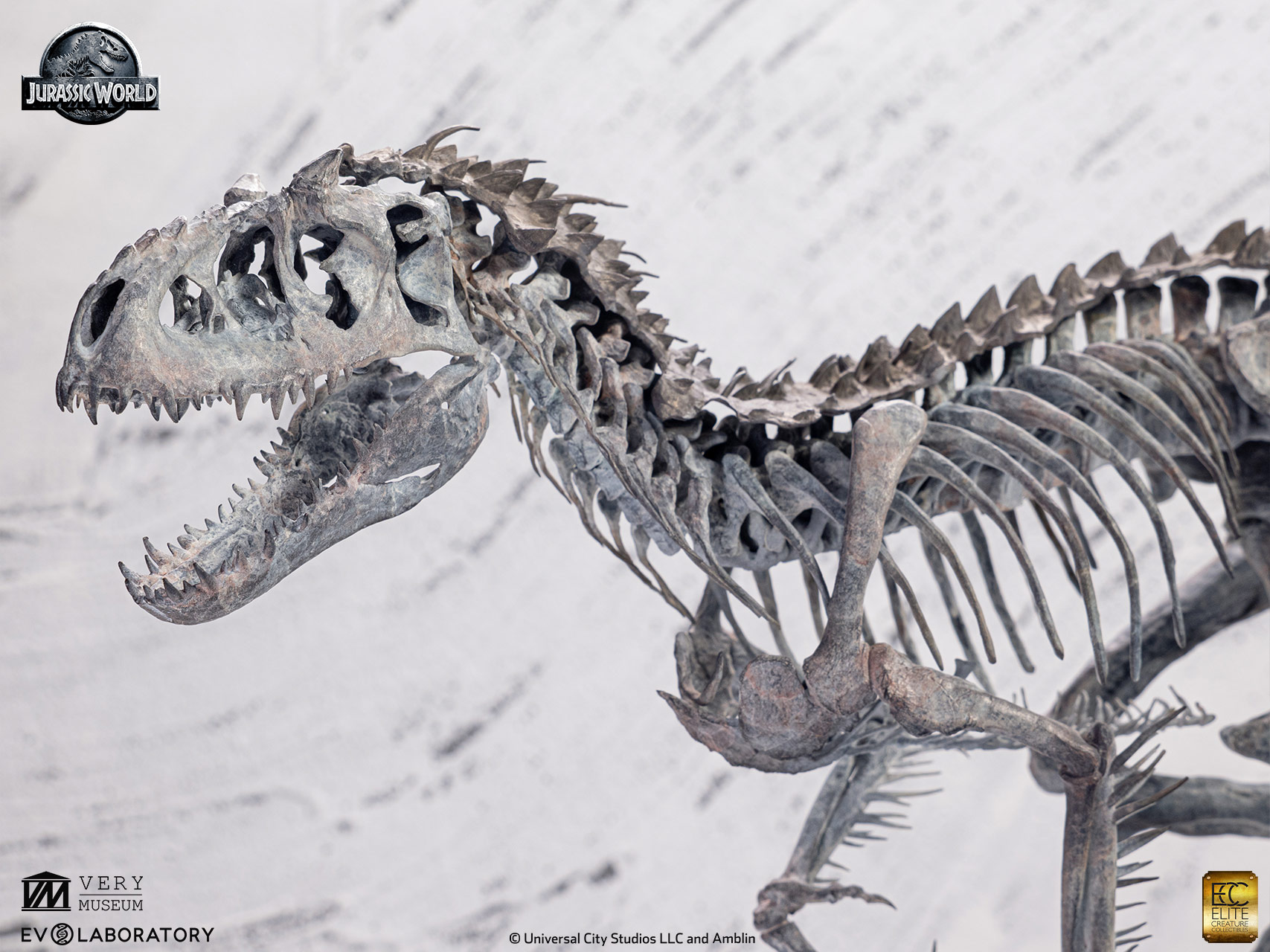 ELITE CREATURE COLLECTIBLES PRESENTS: Jurassic World – Indominus Rex Skeleton Bronze 1/24 Scale - Image 16
